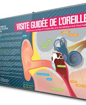 Affichage dynamique médical
